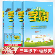 2025春新版 5星學(xué)霸三年級(jí)下冊(cè)語(yǔ)文數(shù)學(xué)英語(yǔ)人教版RJ 經(jīng)綸五星學(xué)霸3下作業(yè)本天天練專項(xiàng)訓(xùn)練習(xí)