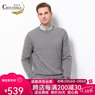 鱷魚恤男士100%山羊絨針織圓領(lǐng)打底毛衣男基礎(chǔ)款純羊絨衫 煙灰 XL 180/96A(115c)