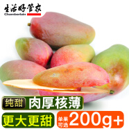 生活＆好管家海南貴妃芒新鮮熱帶水果應季現摘孕婦水果批發整箱 手選精品(需催熟再食用) 貴妃芒凈重4.5-5斤裝[100g+]