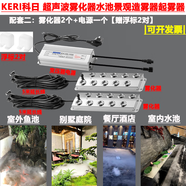 科日超聲波霧化器魚(yú)池水池水景造霧器假山流水景觀(guān)霧化器起霧器水霧起霧器霧化板霧化頭工業(yè)加濕器配件 配套二：霧化器*2個(gè)+電源*1個(gè)【贈送浮標2對】