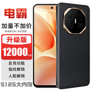 譽(yù)品電霸手機(jī)12000亳安大電池智能手機(jī)5G全網(wǎng)通512g內(nèi)存老人智能手機(jī) 經(jīng)典黑 16GB+512GB