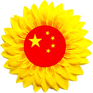 運(yùn)動(dòng)會(huì)入場(chǎng)式道具跳舞手拿花手持向日葵小學(xué)生運(yùn)動(dòng)會(huì)道具六一道具 國(guó)旗 32cm多層