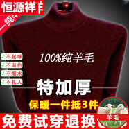 恒源祥純羊毛絨衫純羊毛毛衫毛衣男冬季加厚純半高領(lǐng)中年爸爸針織打底衫 酒紅 高  領(lǐng)純?nèi)?00 2XL 185碼(適合180-200斤)純?nèi)?00