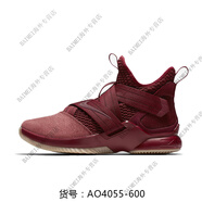 NIKE/耐克ZOOM詹姆斯士兵10代戰(zhàn)靴使節(jié)9氣墊運動籃球鞋844375 AO4055-600 40.5