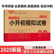 小升初語(yǔ)文模擬試卷 2025版名校沖刺專項(xiàng)突破全真模擬測(cè)試卷真題卷必刷題人教版小學(xué)生畢業(yè)總復(fù)習(xí)書