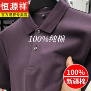 恒源祥2025新款重磅純棉polo衫男短袖t恤100%棉翻領(lǐng)商務(wù)休閑男裝高級感 82380紫色(短袖) L 建議120-135斤