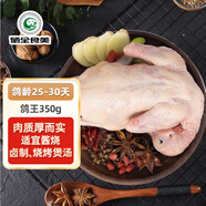 硒全食美富硒鴿王 350g/只 冷凍 供港鴿子全程冷鏈 鹵煮煲湯食材 生鮮鴿