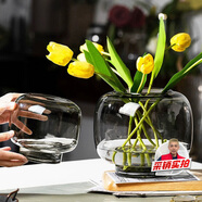 木丁丁圓形大肚玻璃藝術(shù)花瓶簡約風(fēng)水培花器鮮花擺件裝飾高級感生日禮物