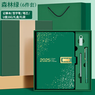 圣馳（SHENGCHI) 商務(wù)筆記本子加厚金花搭扣記事本滿天星皮面日記本辦公會(huì)議記錄本可定制 U盤套裝A5森林綠