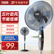 紅雙喜（RED DOUBLE HAPPINESS）電風扇落地扇家用風扇遙控定時電扇餐廳輕音立式搖頭風扇辦公室大風量SY 16英寸4檔可定時【3米線長】