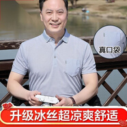 俞兆林爸爸T恤中年男士質(zhì)爸爸夏裝冰絲短袖中年男士上衣Polo父親節禮物 905灰色 M 105 建議80-105斤