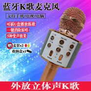 話(huà)筒音響一體式無(wú)線(xiàn)藍牙麥克風(fēng)手機電視通用型家用掌上k歌變聲器 玫瑰金【高品質(zhì)+咪套】+收納盒