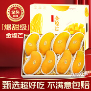 正宗金煌芒果【JD順豐中通速運】新鮮水果青皮芒果水果禮盒送禮 5斤【80%選擇-較劃算】?jì)?斤 巨無(wú)霸果【單果300g+】越大越甜
