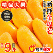 京地達(dá)海南金煌芒果 9斤特大果單果400g+青芒果新鮮水果源頭直發(fā)包郵
