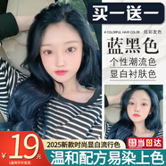 綠宸（2盒裝）染發(fā)劑膏植物男女士染頭發(fā)遮蓋白發(fā)非泡泡純?nèi)景l(fā)膏400ml 藍(lán)黑色 200ml*1盒 0/88