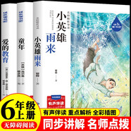 童年六年級(jí)課外閱讀必讀 小英雄雨來快樂讀書吧六年級(jí)上冊(cè) 愛的教育人教版語文教科書配套書目 正版圖書兒童文學(xué)中小學(xué)教輔小學(xué)生書籍10-14歲推薦閱讀