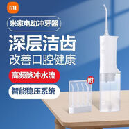 米家（MIJIA）電動沖牙器家用便攜式牙縫水牙線口腔清潔牙結(jié)石洗牙器具 米家電動沖牙器Meo701 拆封不退不支持試用