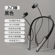 索尼機SOYN適用降噪掛脖藍牙耳機超長(cháng)續航頸戴式2025新款雙耳掛 夜黑 旗艦版-暗[千元環(huán)繞9D音效-