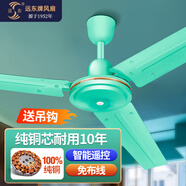 遠東 吊扇電風扇工業(yè)樓頂扇純銅大風量宿舍學校吸頂風扇 1.4米56吋三葉綠色【純銅芯】遙控