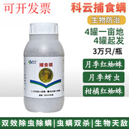 正常發(fā)貨捕食螨 科云加州新小綏螨紅蜘蛛白蜘蛛天敵袋罐裝 科云加州螨3萬(wàn)只/罐*50發(fā)順豐