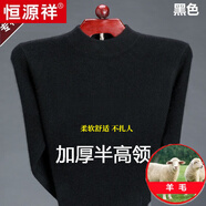 恒源祥純色羊毛絨衫男加厚半高圓領(lǐng)毛衣羊毛衫冬季款針織衫打底保暖上衣 半高 領(lǐng)黑色-純?nèi)?00甄選精品羊毛 XL 175【適合140-155斤】【柔軟舒適保暖