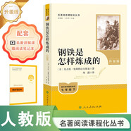 鋼鐵是怎樣煉成的（升級版）人教版名著閱讀課程化叢書 七年級下冊 與25春新版初中語文教材配套使用（含微課，從教學(xué)角度講解名著；含閱讀筆記本，提供測評指導(dǎo)幫助提升整本書閱讀能力）