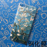 萬浮生適用于蘋果 ipod touch5 浮雕保護套彩繪殼itouch5硬殼PC外殼潮男女后蓋 杏仁花+鋼化膜
