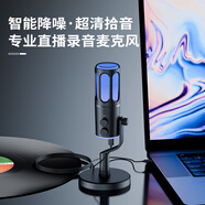 索愛(ài)（soaiy）直播麥克風(fēng)話(huà)筒K歌電腦臺式筆記本聲卡收音麥游戲電競主播網(wǎng)課語(yǔ)音手機電容USB監聽(tīng)降噪sc100