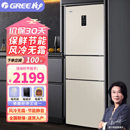 格力（GREE）晶弘 225升冰箱風(fēng)冷無(wú)霜小型家用三門(mén)大冷凍節(jié)能低噪離子凈味電冰箱BCD-225WETC/時(shí)代金