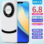 p60promax安卓智能手機5G全網(wǎng)通16G+1TB大內(nèi)存雙卡雙待游戲備用機 雪花白【全新正品p60Pro】 8GB+256GB