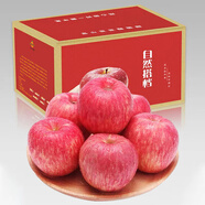 自然搭檔 陜西洛川蘋(píng)果紅富士 脆甜蘋(píng)果生鮮水果禮盒 精選凈重5.5斤中果±0.2斤 12枚