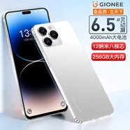 金立（Gionee）全新8核+256G八核4000毫安長續(xù)航4G全網(wǎng)通輕薄便宜大屏游戲電競學(xué)生老年人百元智能機(jī) 白色 8核+64GB