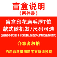 ANGEL MOOD韓國休閑百搭T恤女2025初秋新款寬松加厚磨毛短袖打底衫棉t 盲盒磨毛短袖-2件裝 S 適合80-100斤