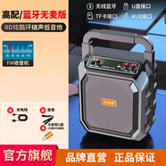 全球音無線藍(lán)牙音箱戶外廣場舞音響大音量K歌唱歌手提便攜式可插卡U盤收音機(jī)地攤廣告擺攤收錢碼語音播報 高配8D+背帶+遙控+800首歌U盤