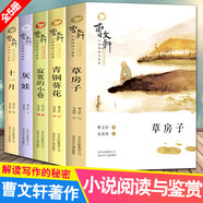 正版全套5冊(cè)曹文軒系列小說(shuō)閱讀與鑒賞小學(xué)生兒童文學(xué)給孩子的閱讀計(jì)劃草房子青銅葵花寂寞的小巷十一月灰娃  曹文軒作品集 草房子 青銅葵花 穿堂風(fēng)兒童文學(xué)兒童節(jié)童書節(jié) 【全套5冊(cè)】曹文軒系列小說(shuō)