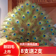 孔雀羽毛插花瓶的真孔雀羽毛孔雀翎尾大眼DIY飾品家居擺設供佛孔 短款精致小眼8支送2支無(wú)根30cm