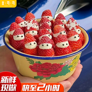 古可可蛇年跨年2025網(wǎng)紅創(chuàng)意蘋(píng)果生日蛋糕當(dāng)天配送全國(guó)同城送男女孩禮物 I款草莓搪瓷盆蛋糕(需預(yù)定) 12英寸(適合7-10人)