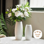 范爺家陶瓷花瓶高級(jí)感大號(hào)家居客廳餐廳鮮花水培插花擺件輕奢簡(jiǎn)約裝飾品