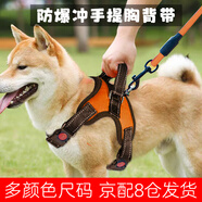 磊嘉狗繩狗鏈柯基防爆沖胸背帶牽引繩中大型小型犬遛狗繩柴犬 活力橙-胸背帶1個配狗繩1根 L（建議40-60斤）