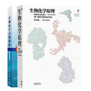 南京大學(xué) 生物化學(xué)原理楊榮武第四版+生物化學(xué)習題解析 第四4版 陳鈞輝 全2冊