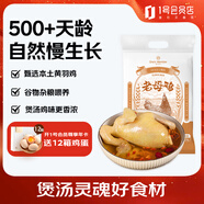 1號(hào)會(huì)員店 跑步雞供港黃油老母雞農(nóng)家散養(yǎng)土雞走地雞500天燉雞湯凈重1.2kg