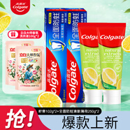 高露潔全面防蛀牙膏 薄荷家庭裝含氟 清新口氣商超線下同款 全面防蛀250g*2+檸爽 102g*2支