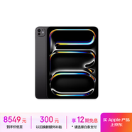 Apple/蘋果 iPad Pro 11英寸 M4芯片 2024年新款平板電腦(256G WLAN版/MVV83CH/A)深空黑色