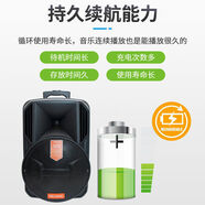 飛揚(yáng)紅日浪庭A12-65多功能廣場舞藍(lán)牙音箱K歌便攜式落地充 a12-65單話筒