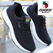 西域駱駝（VANCAMEL）品牌男鞋春秋款透氣網(wǎng)面運動鞋男2025新款防滑跑步鞋子男士休閑鞋 D22黑色 39