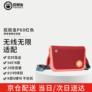屁顛蟲（Hifier）P60隨身唱挎包無線音響 橙紅色 戶外直播唱歌廣場舞聚會 藍牙u段FM多種連接方式 便攜式音箱