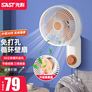 先科（SAST）免打孔廚房風(fēng)扇壁掛電風(fēng)扇掛壁式廁所壁扇循環(huán)扇家用掛墻衛(wèi)生間遙控電扇浴室用墻壁搖頭洗手間掛扇 白色機(jī)械款