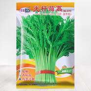 四季陽臺盆栽菠菜番茄辣椒白菜小蔥蘿卜生菜孑香菜籽蔬菜種子大全 皇帝菜小葉茼蒿 1600粒 買二送一
