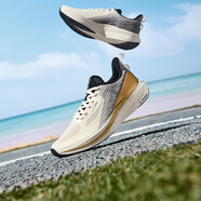 361度運動鞋男鞋飛魚夏季網(wǎng)面透氣撞色漸變跑步鞋緩震耐磨體測鞋 羽毛白/皇冠金 42
