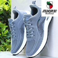 西域駱駝（VANCAMEL）品牌男鞋春秋透氣網(wǎng)面運動鞋男2025新款休閑鞋男士百搭白色跑步鞋 X-2305淺灰 41